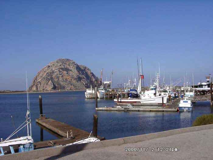 Image of 11020016.jpg