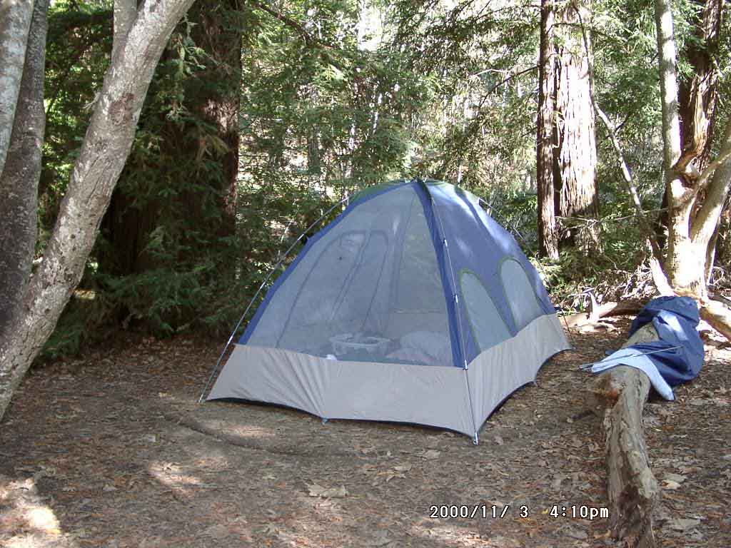 Image of 11030003.jpg