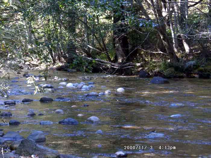 Image of 11030009.jpg