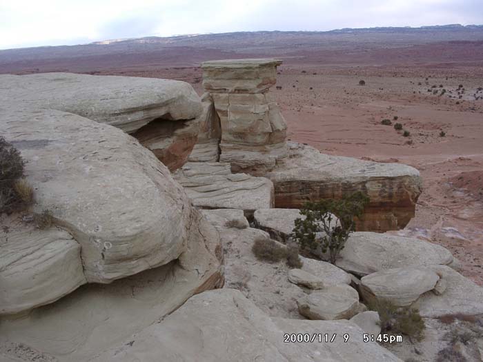 Image of 11090023.jpg