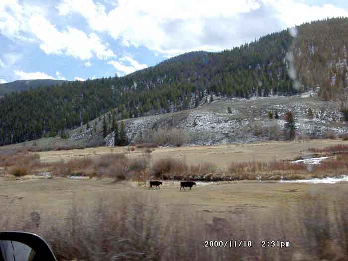 Image of 11100017.jpg